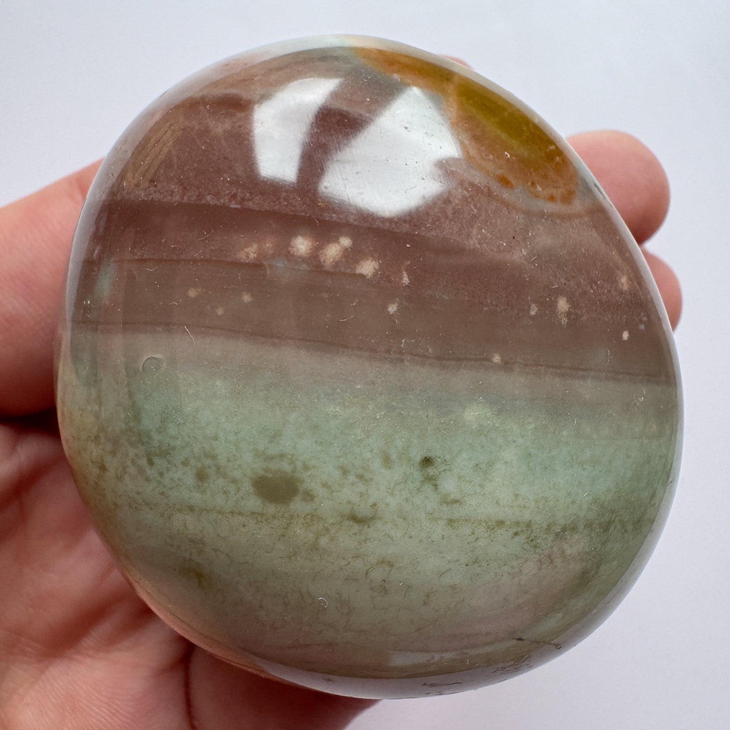 Ocean Jasper Palmstone