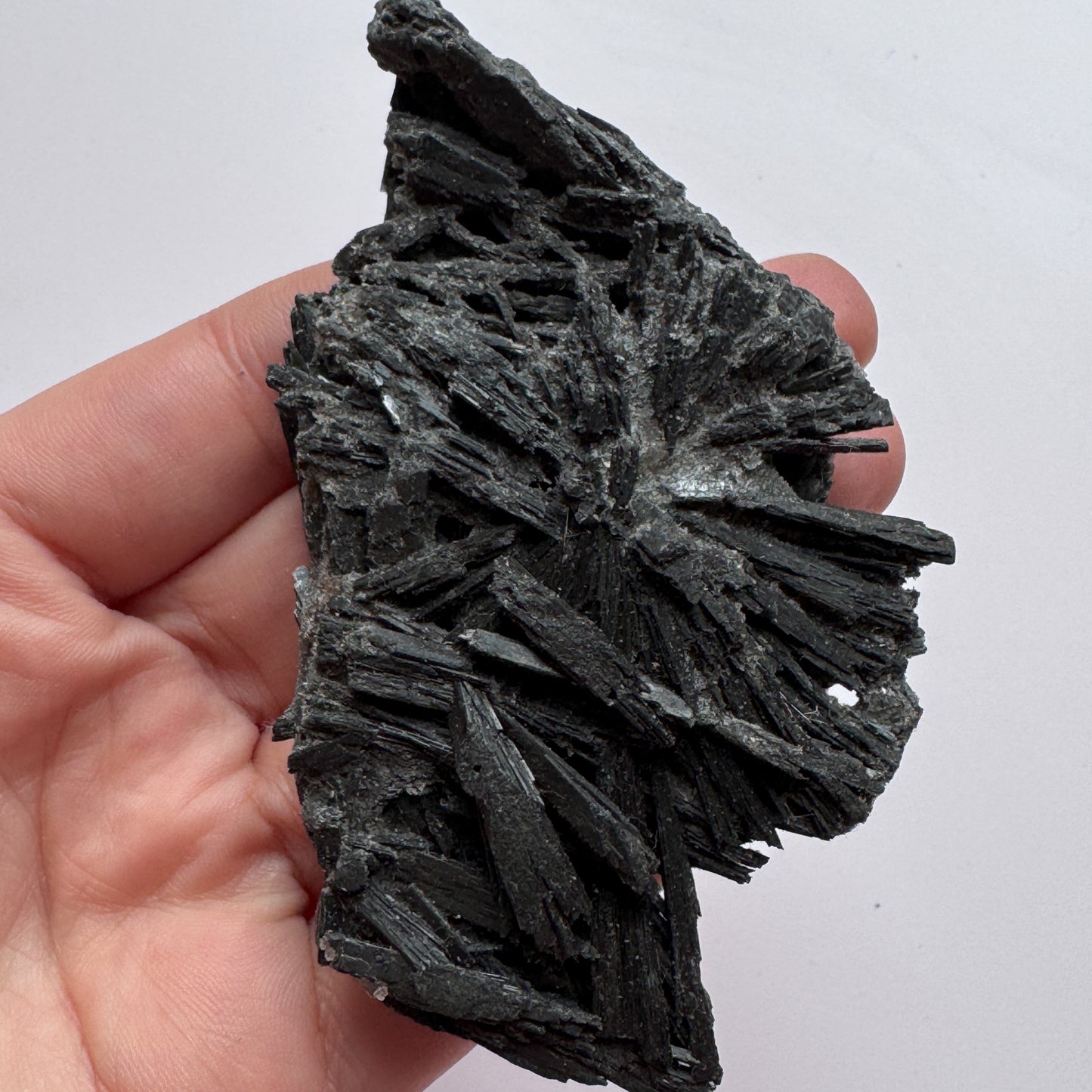 Black Kyanite 6