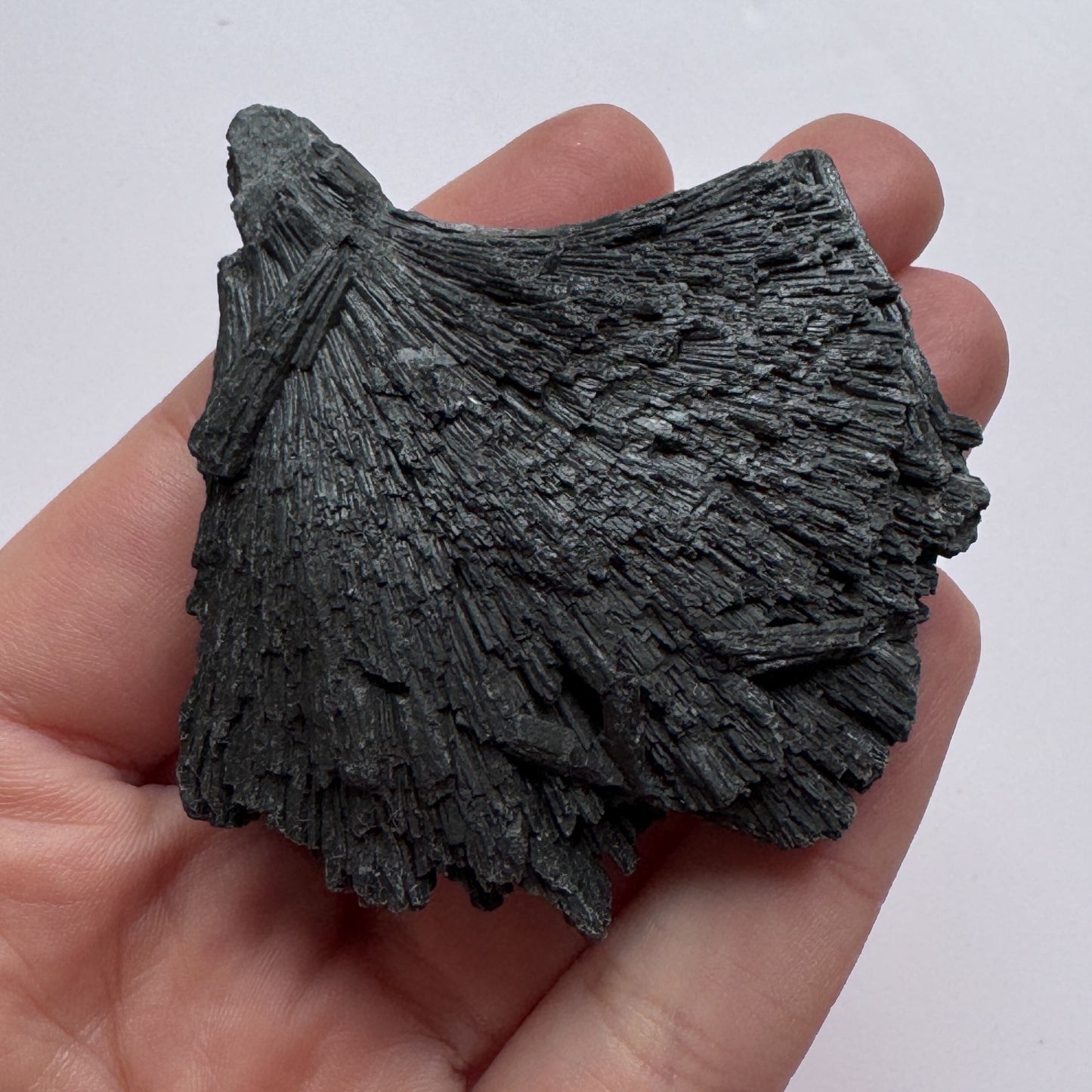 Black Kyanite 9