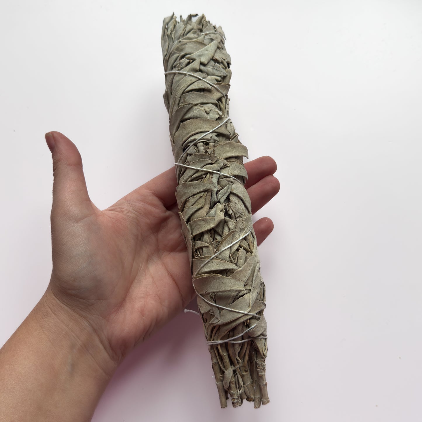 Large Sage