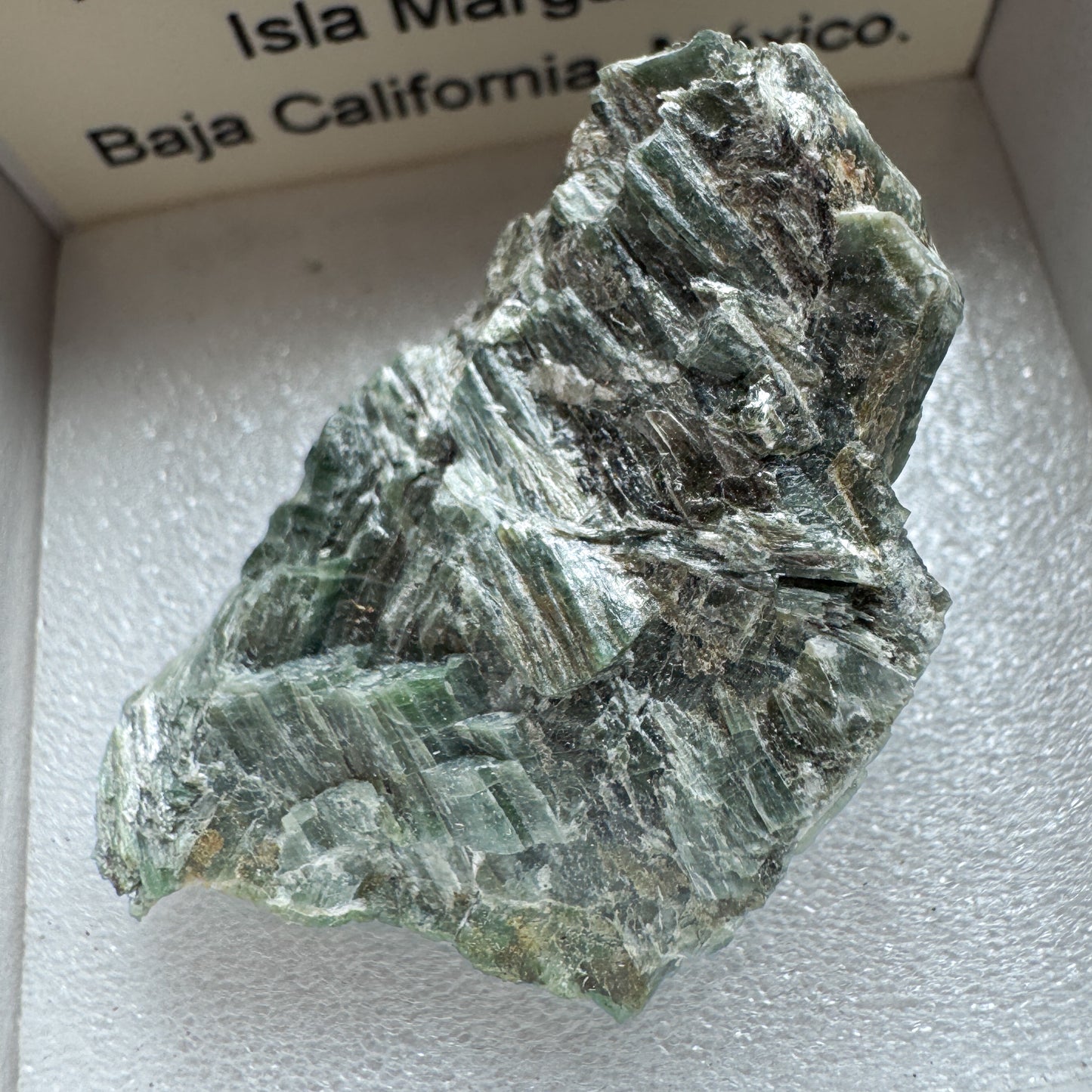 Actinolite, Mexico 13702