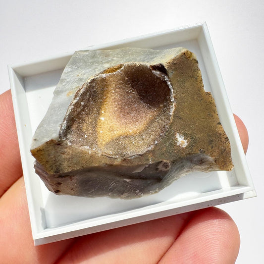 Quartz (Caistor Chalk Pit, Caster St Edmunds, Norwich, Norfolk)