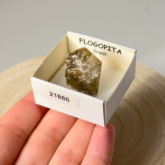 Phlogopite (Brasil) 21886