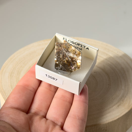 Phlogopite (Brasil) 13087