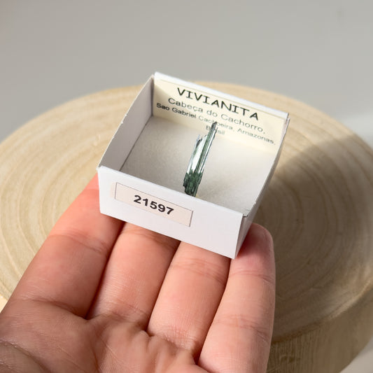 Vivianite (Cabeça do Cachorro, Gabriel Cachoeira, Brazil) 21597