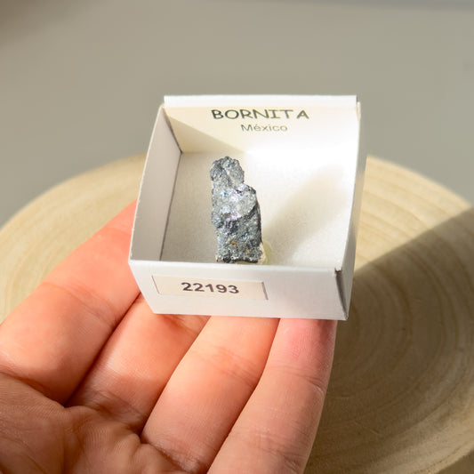 Bornite (Mexico) 22193