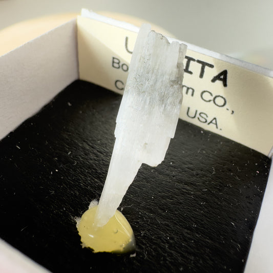 Ulexite (Boron, Kern Co., California, USA) 22611