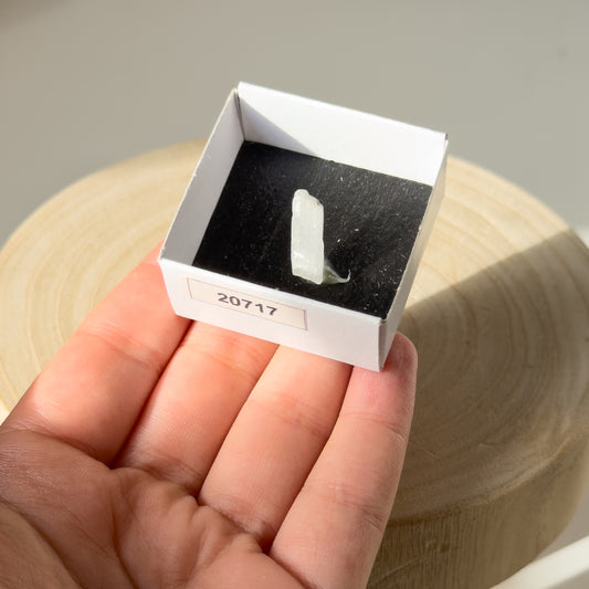 Ulexite (Boron, Kern Co., California, USA) 20717