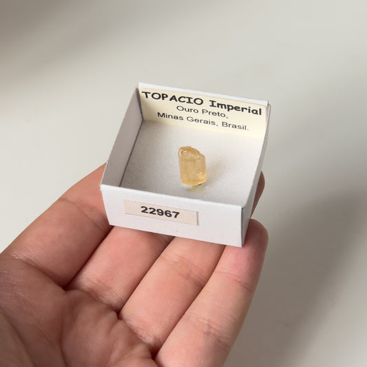 Imperial Topaz (Ouro Preto, Minas Gerais, Brasil) 22967