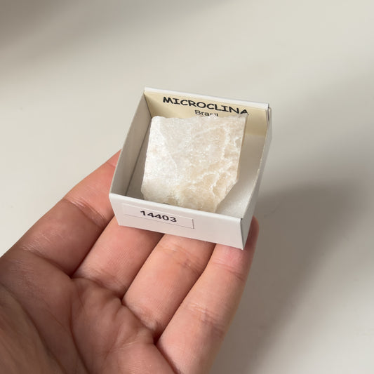 Microcline (Brazil)  14403