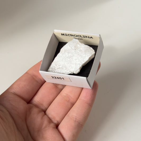 Microcline (Brazil) 22451