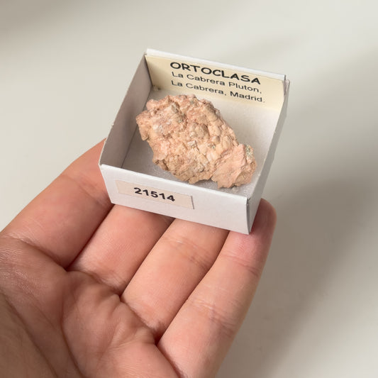 Orthoclase (La Cabrera pluton, La Cabrera, Madrid) 21514