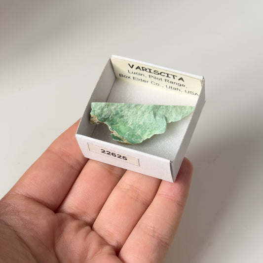 Variscite (Lucin, Pilot Range, Box Elder co., Utah, USA) 22625