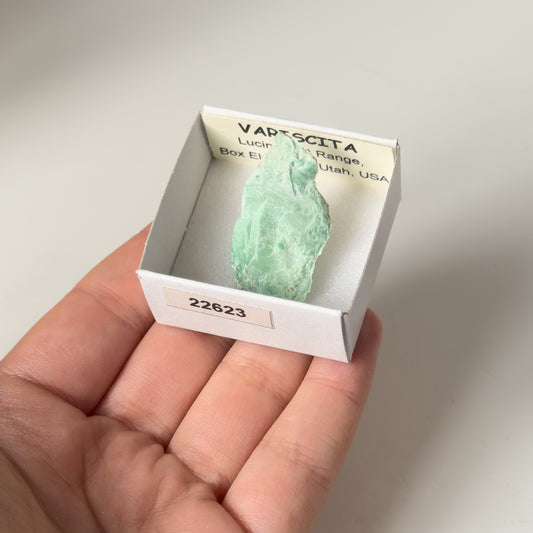 Variscite (Lucin, Pilot Range, Box Elder co., Utah, USA) 22623