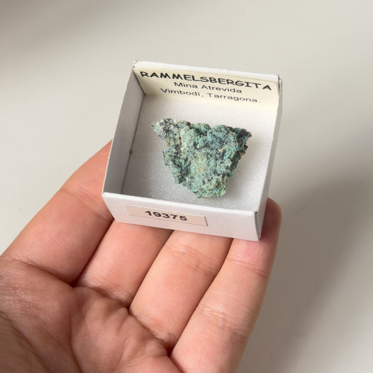 Rammelsbergita (Mina Atrevida, Vimbodi, Tarragona) 19375