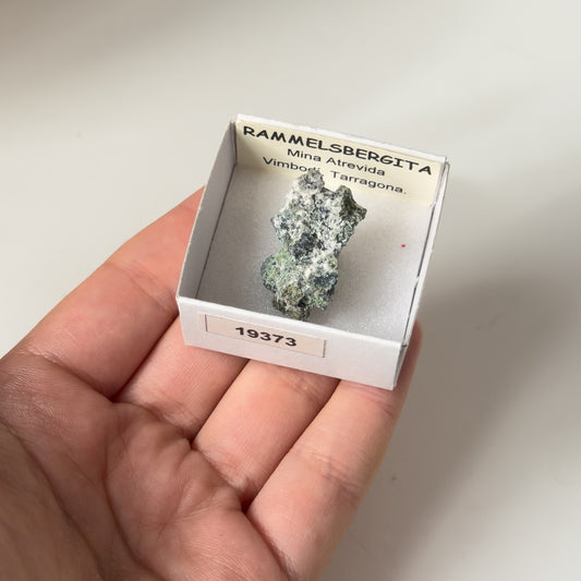 Rammelsbergita (Mina Atrevida, Vimbodi, Tarragona) 18073