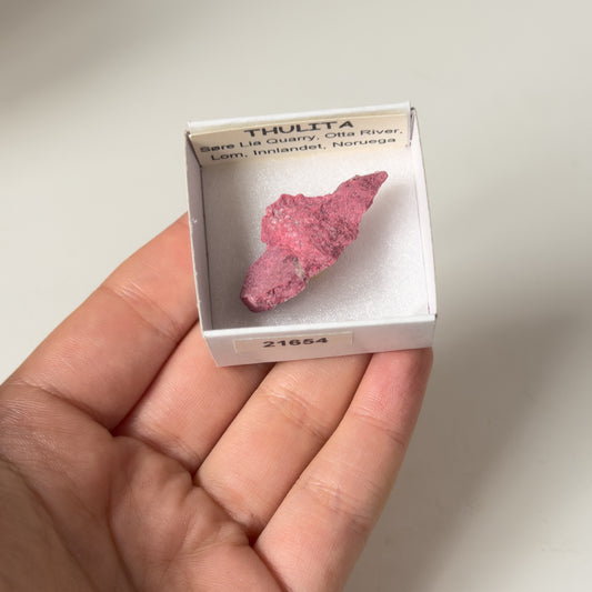 Thulite  (Sore Lia Q, Otta River, Lom, Innlandet, Noruega) 21654