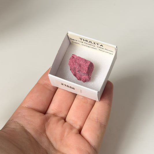 Thulite  (Sore Lia Q, Otta River, Lom, Innlandet, Noruega) 21656