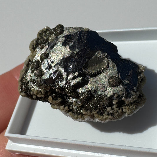 Ferberite (Castelo Branco, Portugal)