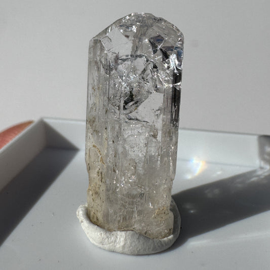 Danburite (San Luis Portosi, Mexico)