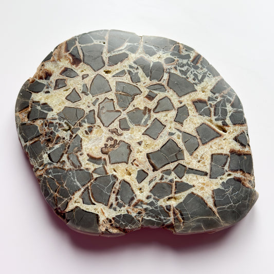 Septarian Slab