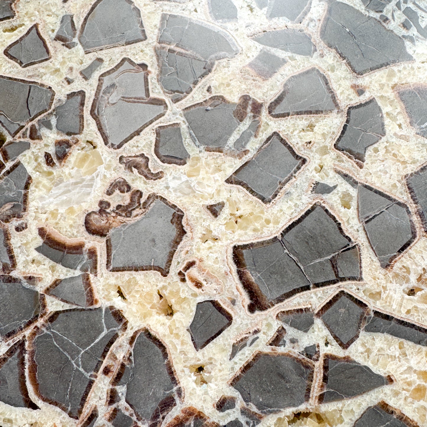 Septarian Slab
