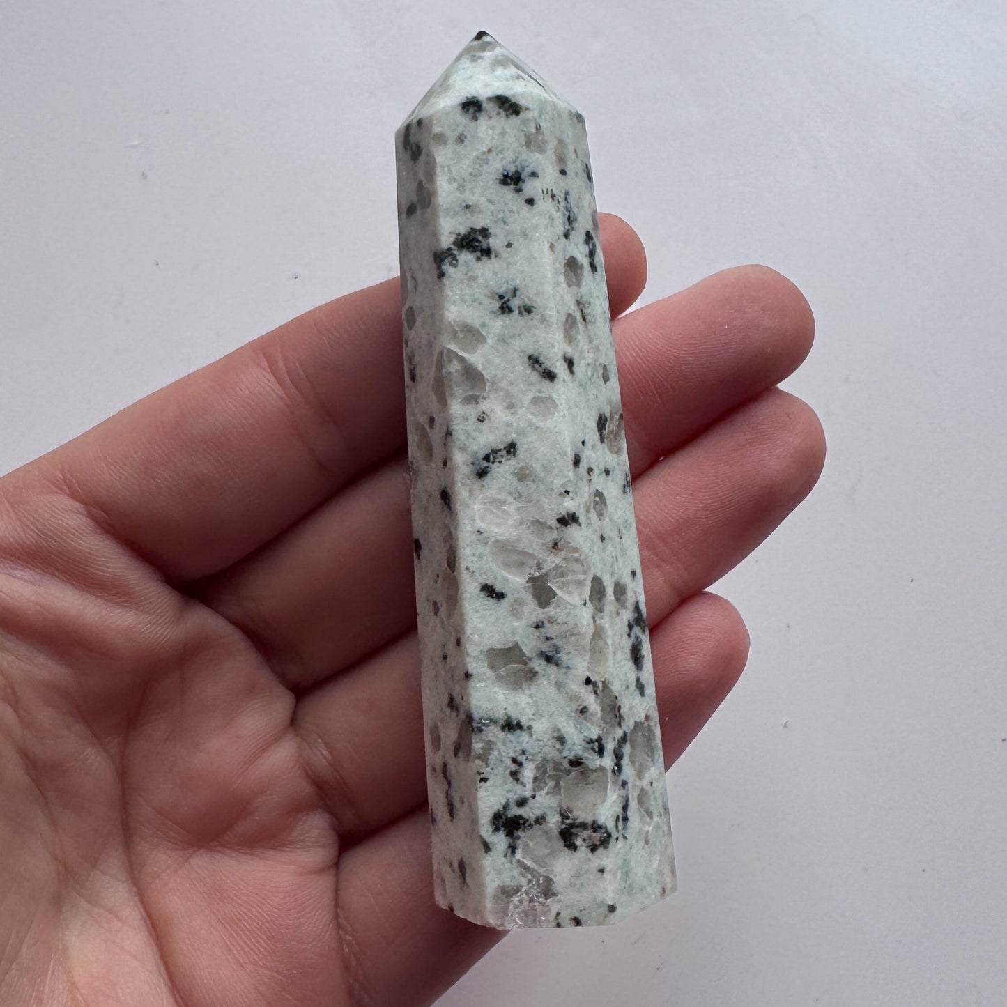 Kiwi Jasper Point 5