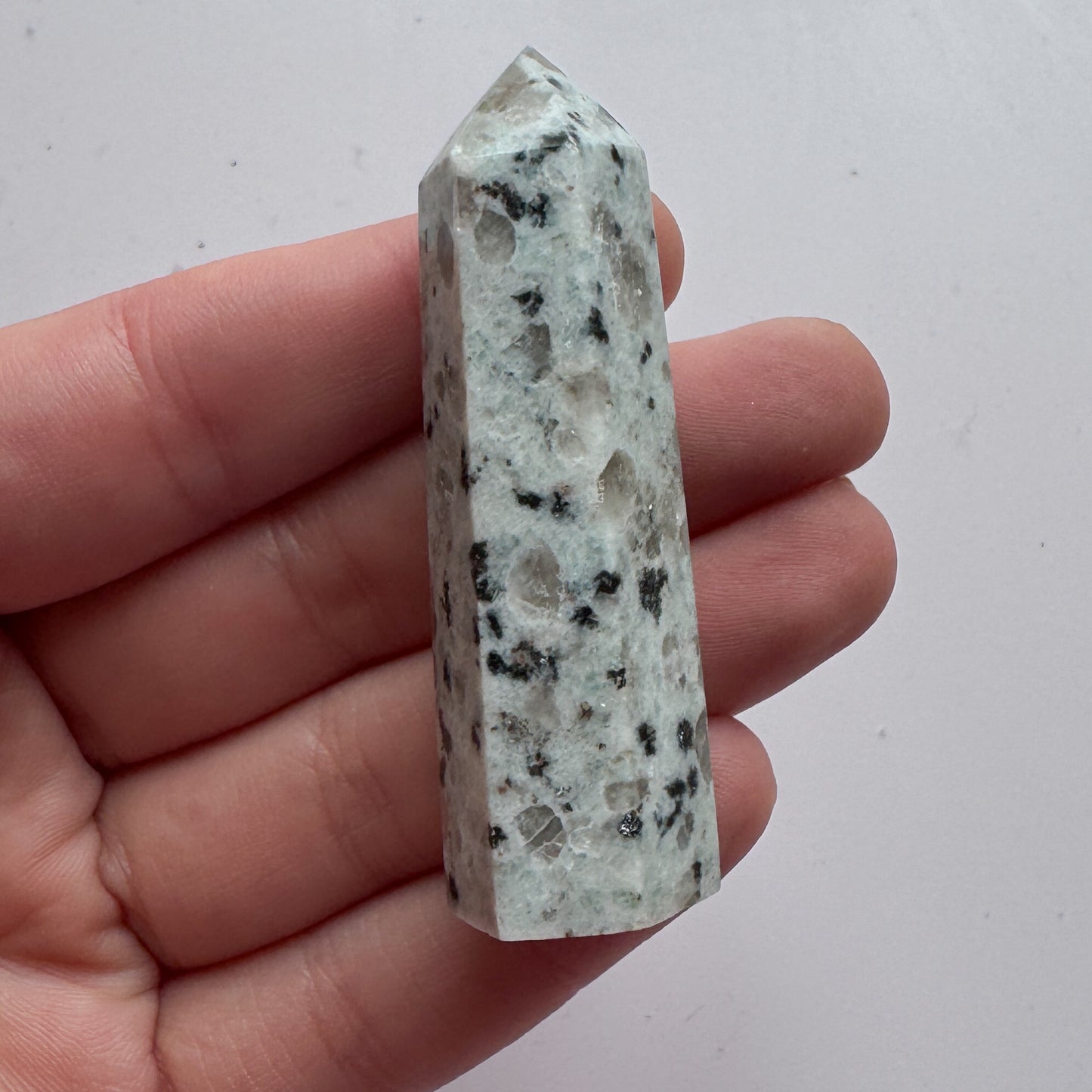 Kiwi Jasper Point 7