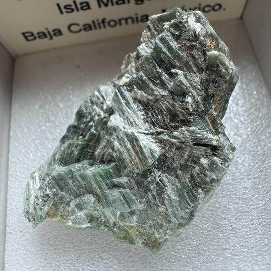 Actinolite, Mexico 13702
