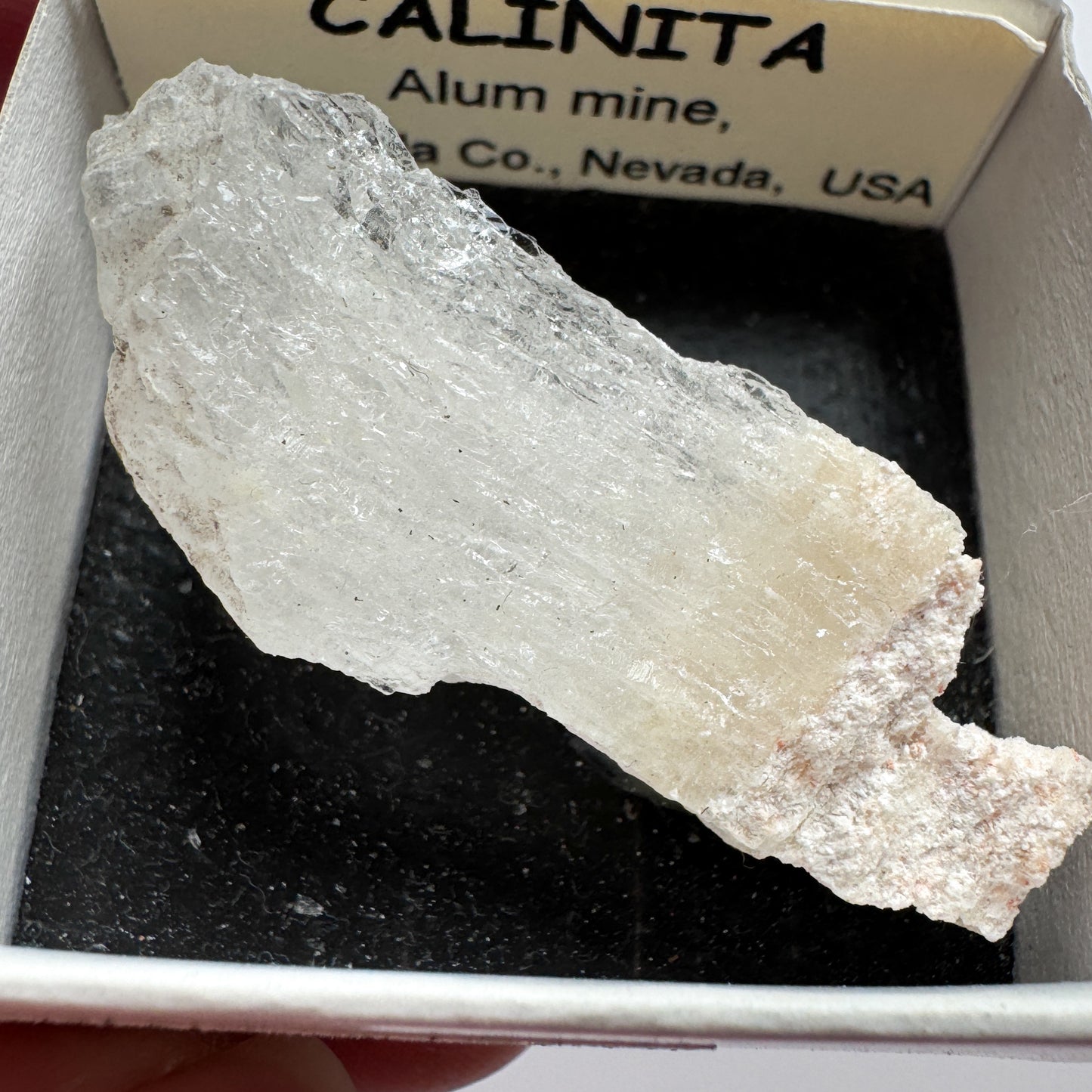 Kalinite, Nevada USA 16763