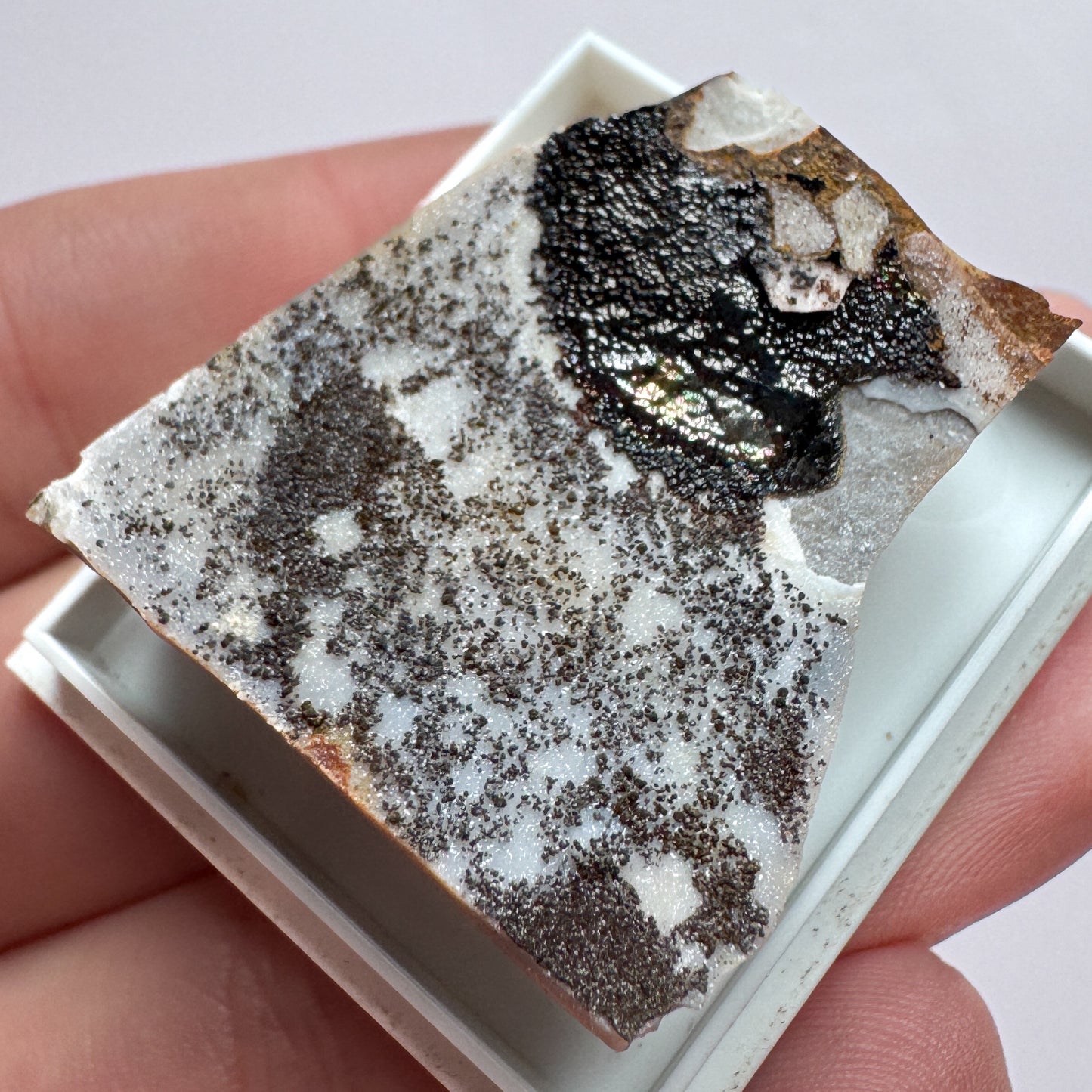 Siderite & Goethite, Norfolk UK
