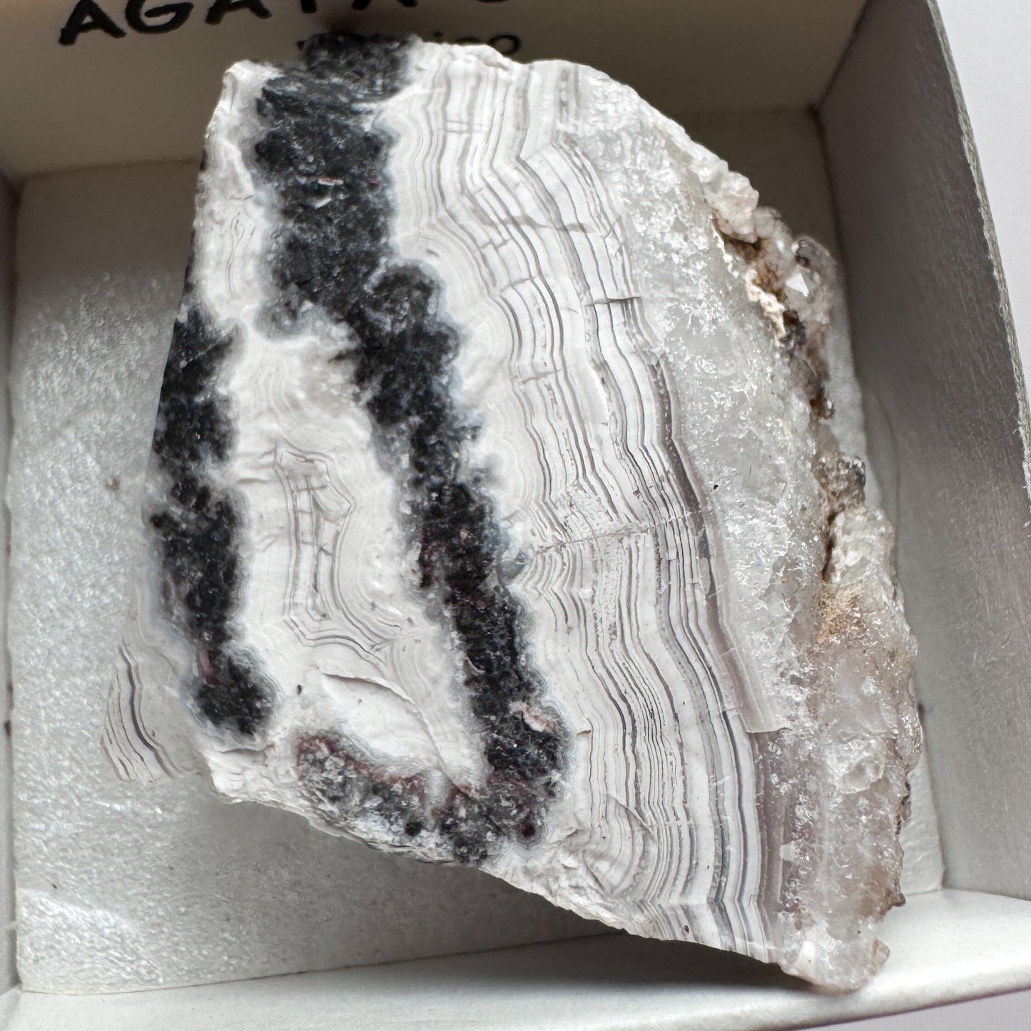 Banded Agate 15423