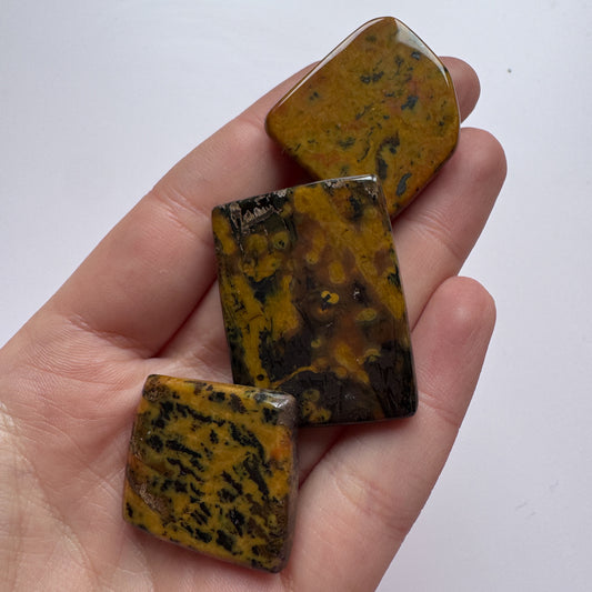 3x Tiger Tail Jasper Slabs