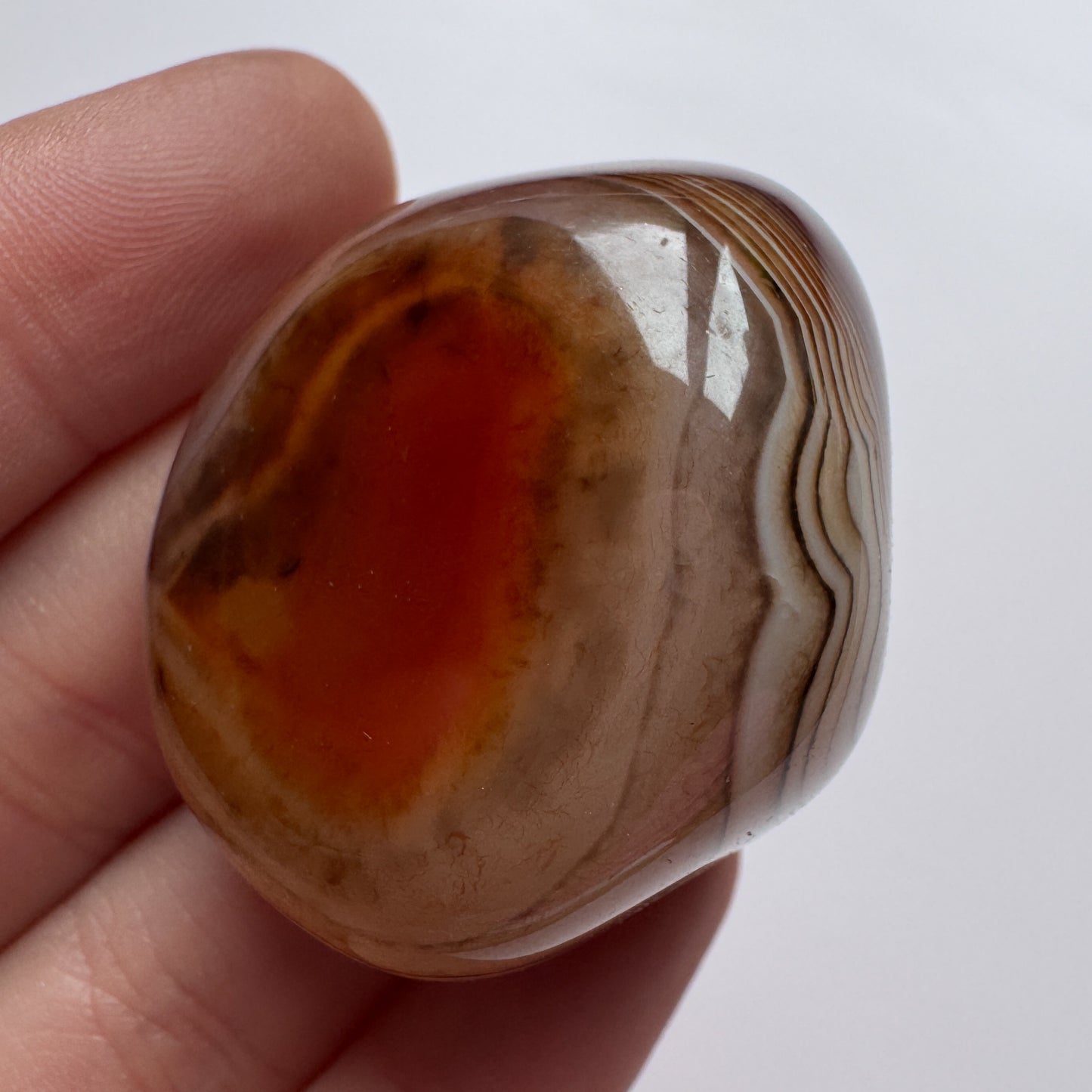Sardonyx