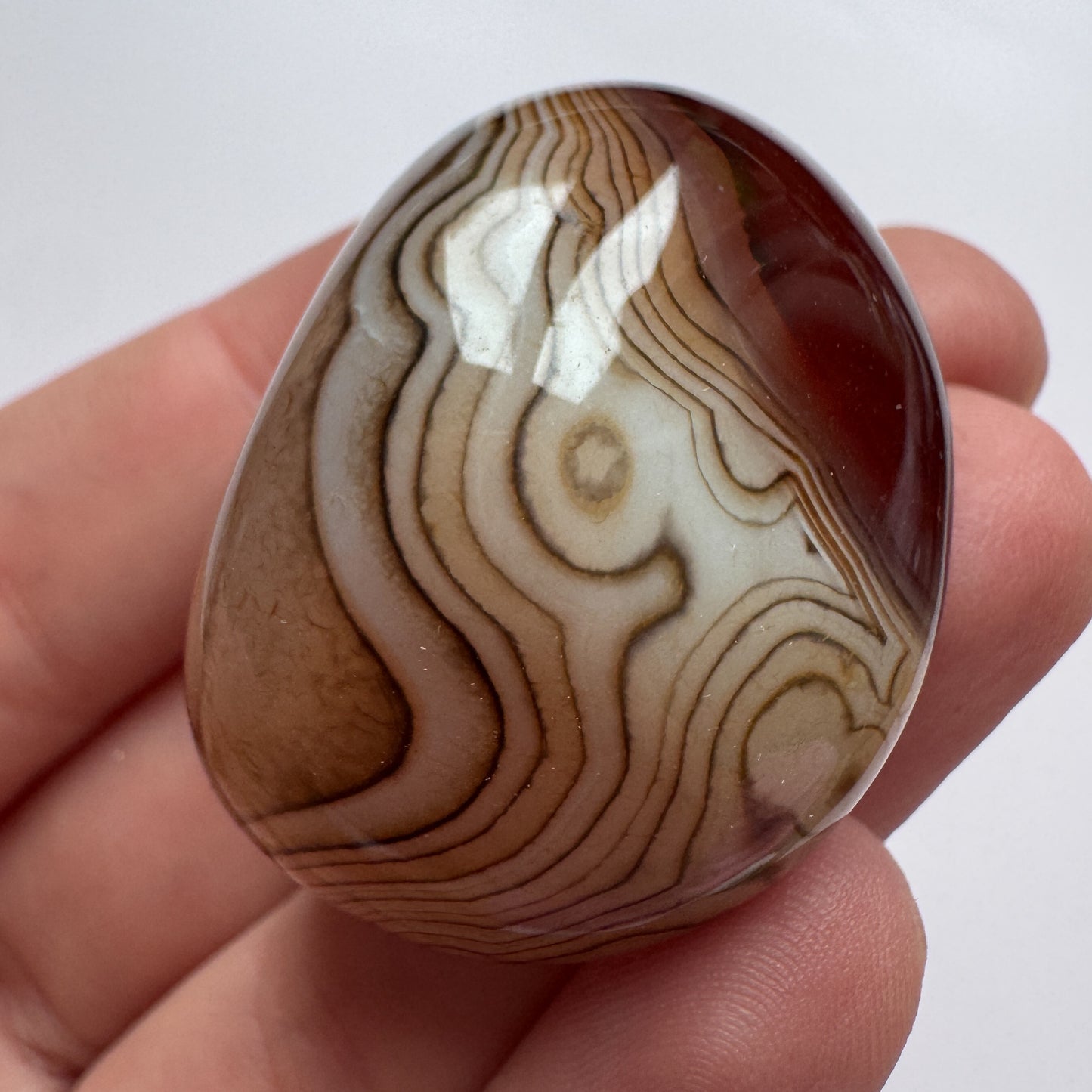 Sardonyx