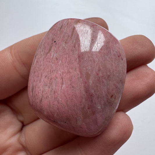 Pink Fossil Wood ONLY ONE