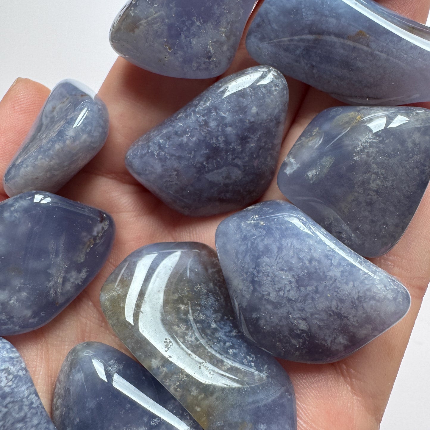 Blue Chalcedony LOT